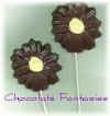 Chocolate Daisy Lollipop Black Eye Susan