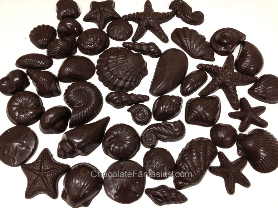 chocolate shells