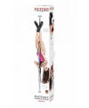 Fantasy Dance Pole Stripper Burlesque Exercise