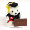 Graduation Gift Bear Chocolate