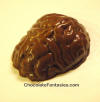 Chocolate Brain