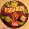 ParaDice.jpg (25904 bytes)