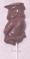 Chocolate Wise Owl
