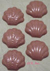 Fancy Chocolate Scallop Shells
