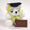 Graduation Bear Gift with Chocolate Congratulations Card
