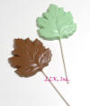 chocolate elm leaf pop