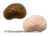 Chocolate Brain