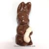 Naughty chocolate bunny with boner
