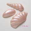 Pink Chocolate Sea Shells
