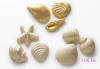 Beautiful Chocolate Seashells