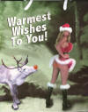 Adult Christmas Bag Warmest Wishes Rudolph Reindeer